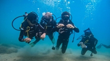 Mergulho para Credenciados 